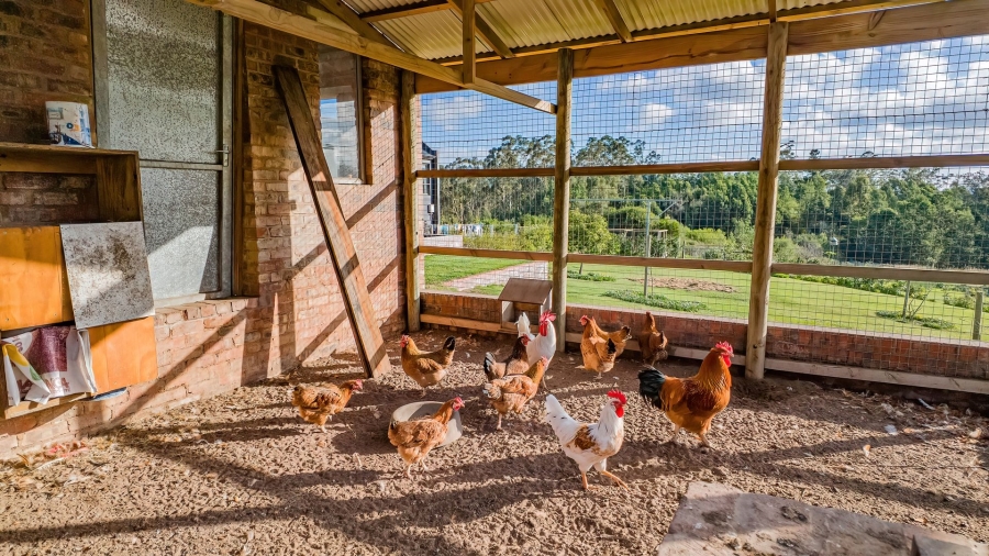 Commercial Property for Sale in Sedgefield Rural Western Cape